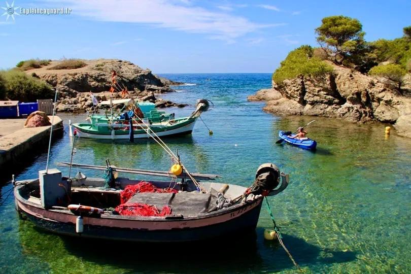 La Fincazur! Proche Plages Six-Fours-les-Plages Exterior foto